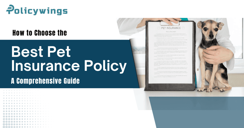 How to Choose the Best Pet Insurance Policy: A Comprehensive Guide